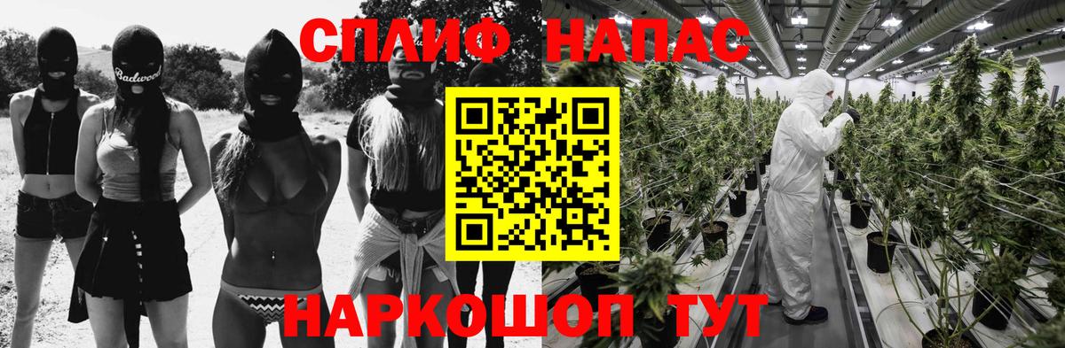 Бошки Шишки сатива  Канабис сатива  МАРИХУАНА индика  Вход с VPN  Малгобек 